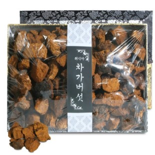 러시아 차가버섯